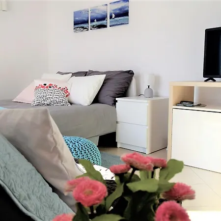 Blue Sunshine Rab * Palit