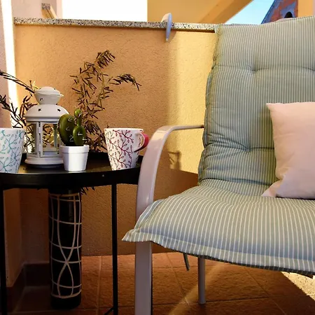 Blue Sunshine Rab * Palit