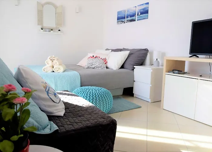 Blue Sunshine Rab * Palit